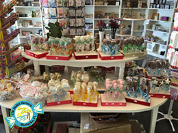 CW FUDGE FACTORY MATLACHA FLORIDA